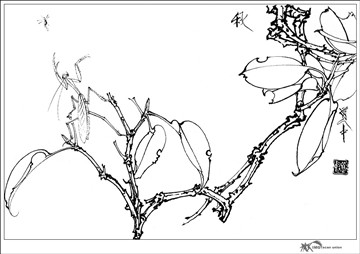 白描花卉草虫