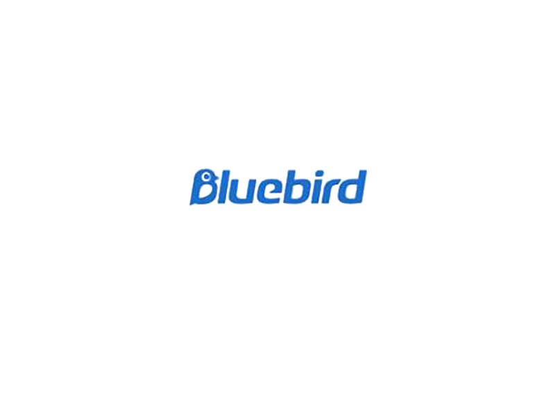 bluebird